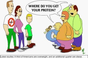 obese protein
