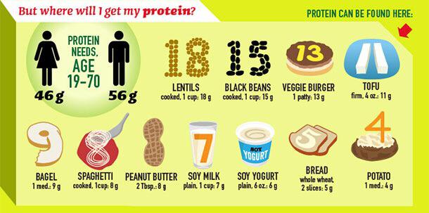 vegan sources protein